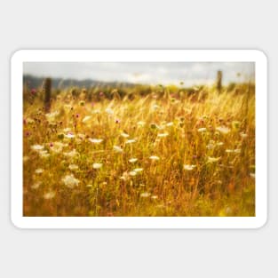 Dreams of a Summer Meadow Sticker